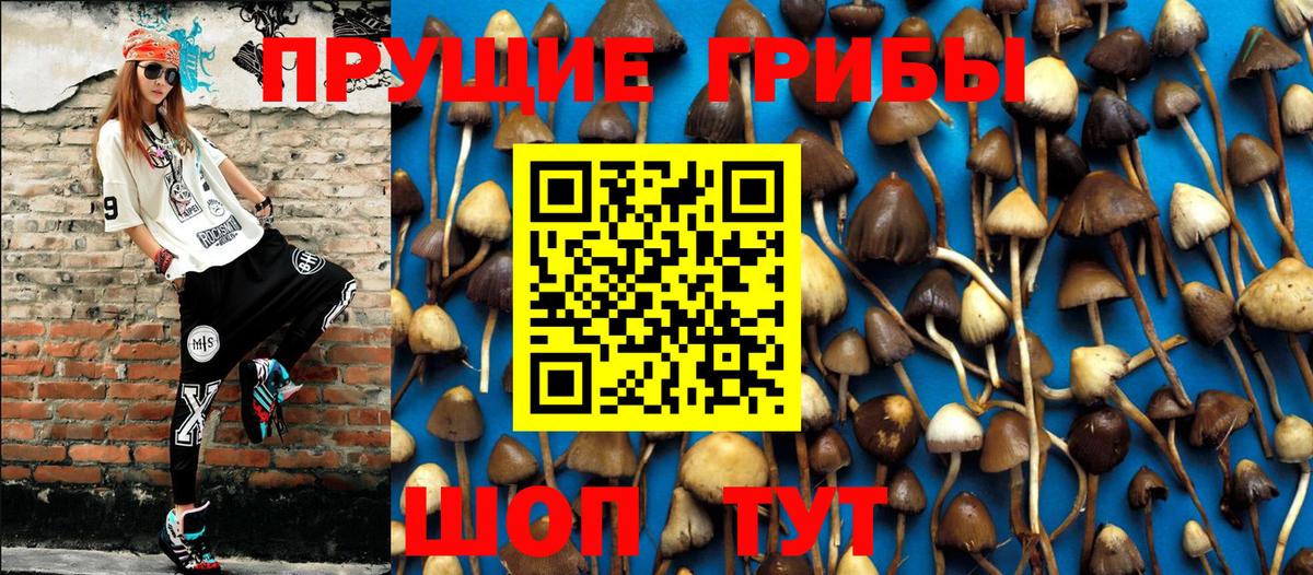 Галлюциногенные грибы GOLDEN TEACHER  Вход с VPN  Заволжье 