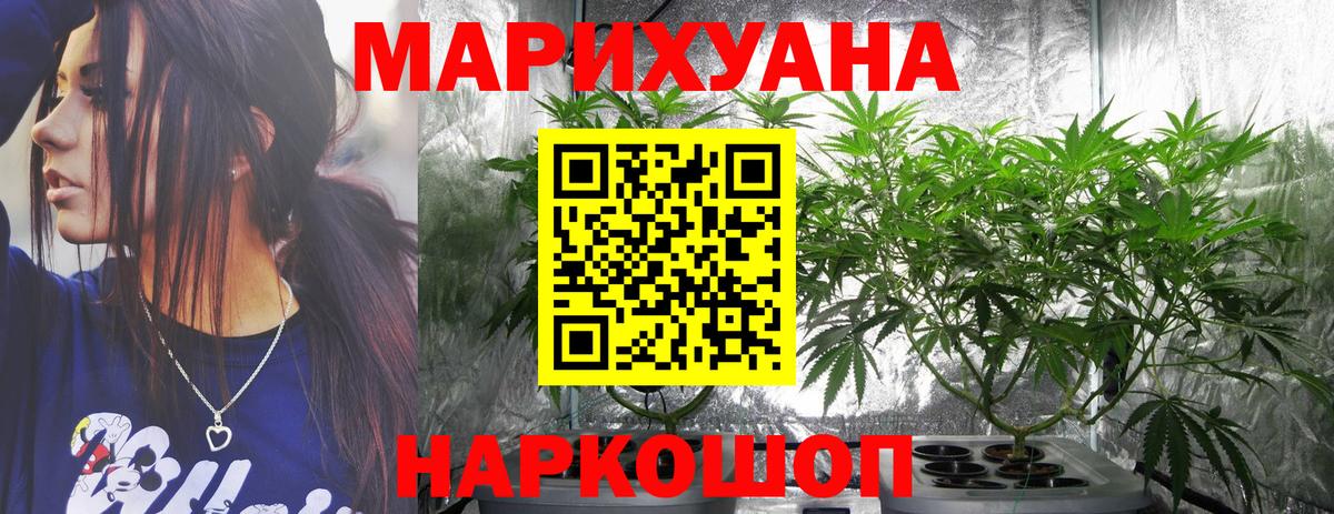 МАРИХУАНА гибрид Заволжье